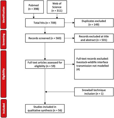 Mathematical modeling at the livestock-wildlife interface: scoping review of drivers of disease transmission between species